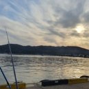 양포 방파제 화장실 이미지