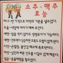 소맥의효능 ㅋㅋ 이미지