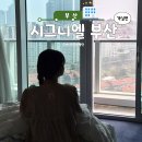 시그니엘호텔 부산점 | 부산 해운대 시그니엘 호텔 객실 후기｜무료 서비스 정리