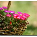 농도원목장 이미지