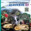 인삼미인