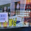 청하다찌 네이버블로그