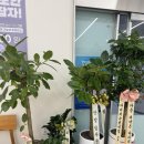 안경의 모든것 이미지