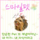 펫스마일 - 남동구 논고개로123번길 35 | 펫스마일