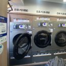 화이트365동덕여대점