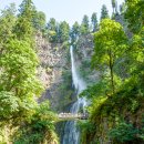 시애틀공원 이미지