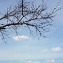 당거리농장 이미지