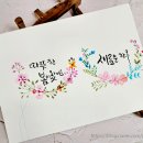 플러스펜 수채화 캘리그라피 이미지