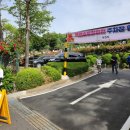 도당애견 이미지