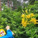 아랫말농장 이미지