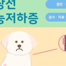 상암동물병원 이미지