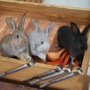 청성농장 이미지