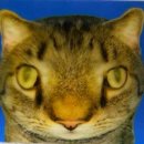 날 추워지면 뱅쇼만들고싶어짐 이미지