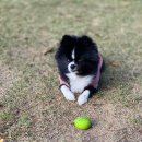 그라운독 이미지