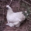 오학윤남동수 정형외과 신경외과의원 이미지