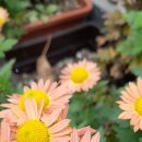 경섭농장 이미지