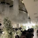더에스 | 부산 웨딩홀 투어 W웨딩 더에스웨딩홀 견적 식대 주차 내돈내산 솔직후기