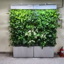 신석도서관 이미지