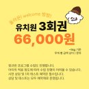 밤밤애견유치원