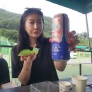 애견동반 밀양테마수영장 이미지