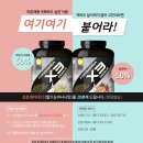 프로게이너
