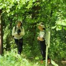 법화사지 이미지