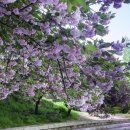 늘푸른전당 공연장 이미지