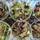 관기초교병설유치원 이미지