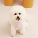 그루밍051 이미지