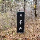 보은산 Daum카페