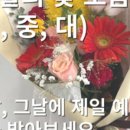 피어난곳