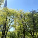 연세더블유산부인과의원 이미지