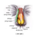 코위너스 네이버블로그