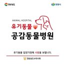 용동물병원 | 보리 입양 (유기견 입양 | 강아지 입양 | 창원시유기동물보호소 | 입양혜택 )