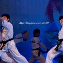 반딧불태권도체육관 이미지