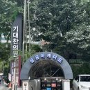[싱그러운상점/종각역] 감성적인 미니꽃다발 광화문역 꽃집 후기