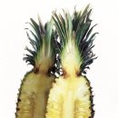 파인애플 이미지