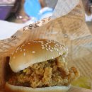 코지아지 이미지