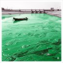 연합가축인공수정센타 | [센과치히로의행방불명](하쿠의 강편)"판타지 속에 감춰진 서늘한 공중보건의 진실!"