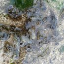 함덕1호어린이공원 이미지