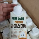 군북농협가공사업소 | 요즘 아침식사대용으로 먹는 우리쌀 해브어라이스데이 쌀음료 강력추천후기