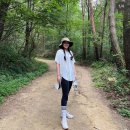 서산종로약국 | 마운자로 5주차 후기, 7kg 빠졌어용