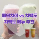 차를좋아하는사람들 - 임실군 춘향로 3439 | 차백도 메뉴 추천ㅣ신메뉴·인기메뉴 먹어본 후기 (건대점 방문, 강남점 배달)