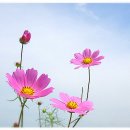 좋은생각