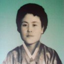 김재옥길 경향신문