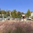 대곡면-6 | 진주 빛마루 폐교에서 유등 창작센터 &amp; 카페로 변신한 진주 랜드마크 (feat. SBS 동네멋집)