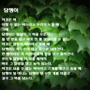 참호도과자 이미지