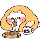 캣츠아일랜드 이미지