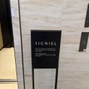 센텀남대로50 | 시그니엘 부산 더뷰 시그니엘부산뷔페 런치 솔직후기 부산신세계센텀백화점트리 부산트리