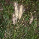 동트는어린이집 이미지